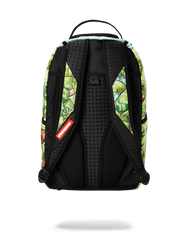 STASHED OG BEARS