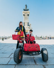MONEY PATTERN BRICK SLING