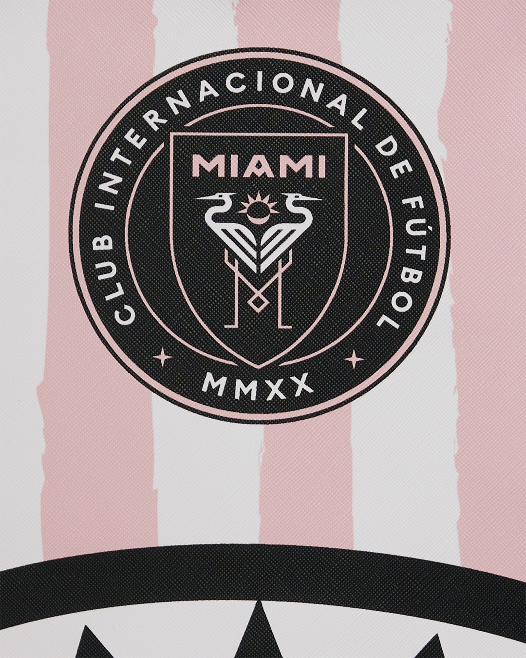 MLS COLLAB - INTERMIAMI STRIPE DLXSV BACKPACK